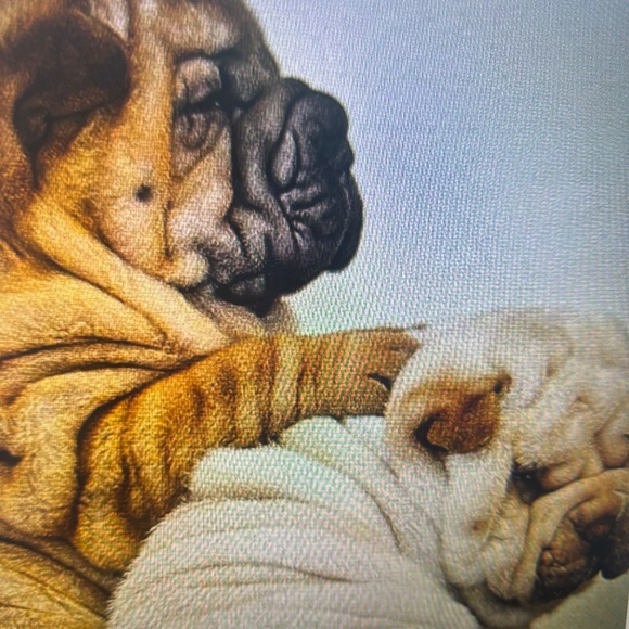 ANUSCHKA CALCUTTA INDIA-NWT $158.00                     MASTERPIECE TOOK 6 WEEKS - Picture 15 of 15